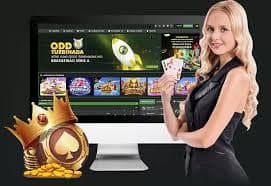 kg77 guide explaining casino-style game categories for adults only